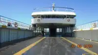 Ro-Ro ship বিক্রির জন্য