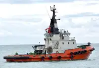 টগবোট বিক্রির জন্য