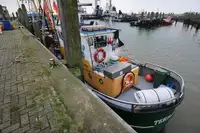 ট্রলার বিক্রির জন্য