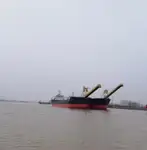 বাল্ক বাহক বিক্রির জন্য