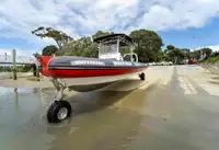 অ্যাম্ফিবিয়াস বিক্রির জন্য