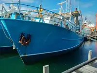 Trawler বিক্রির জন্য
