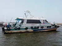 পাইলট নৌকা বিক্রির জন্য