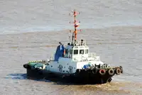 টাউবোট বিক্রির জন্য