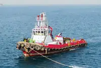 টাউবোট বিক্রির জন্য
