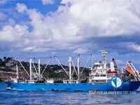 রিফার জাহাজ বিক্রির জন্য