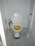 লংলাইনার বিক্রির জন্য