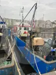 জীবন্ত মাছের বাহক বিক্রির জন্য