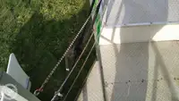 কন্টেইনার জাহাজ বিক্রির জন্য