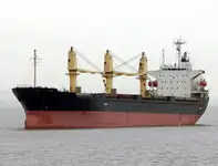 বাল্ক ক্যারিয়ার বিক্রির জন্য