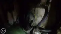 ট্রলার বিক্রির জন্য