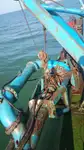 ড্রেজার বিক্রির জন্য