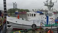 টাউবোট বিক্রির জন্য