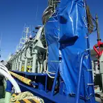 Purse seiner বিক্রির জন্য