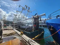 ট্রলার বিক্রির জন্য