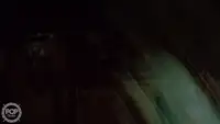 ট্রলার বিক্রির জন্য