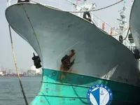 লংলাইনার বিক্রির জন্য