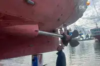 ফেরি জাহাজ বিক্রির জন্য