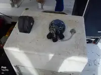 ট্রলার বিক্রির জন্য