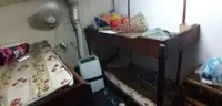 টাউবোট বিক্রির জন্য
