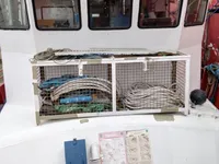 সার্ভে জাহাজ বিক্রির জন্য