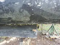 ফেরি জাহাজ বিক্রির জন্য