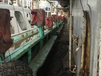 স্কুইড জিগার বিক্রির জন্য