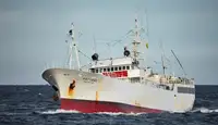 Trawler বিক্রির জন্য
