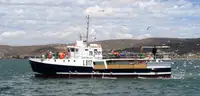 Purse seiner বিক্রির জন্য