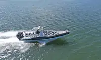 রিজিড ইনফ্লেটেবল বোট বিক্রির জন্য