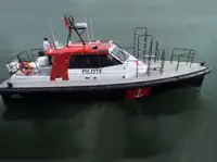 পাইলট বোট বিক্রির জন্য