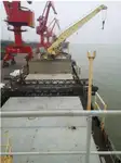 বাল্ক বাহক বিক্রির জন্য