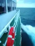 প্যাট্রোল বোট বিক্রির জন্য