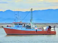 Trawler বিক্রির জন্য