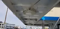 ক্যাটামারান বিক্রির জন্য