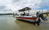 অ্যাম্ফিবিয়াস বিক্রির জন্য