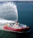 বাল্ক ক্যারিয়ার বিক্রির জন্য