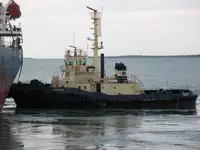 টাউবোট বিক্রির জন্য