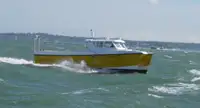 ক্যাটামারান বিক্রির জন্য