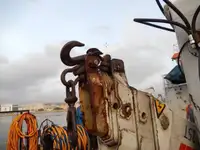 ওয়ার্ক বোট বিক্রির জন্য