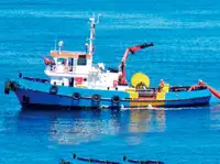 টাউবোট বিক্রির জন্য