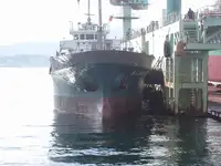 বাল্ক ক্যারিয়ার বিক্রির জন্য