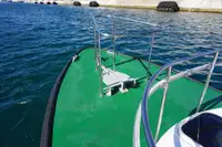 পাইলট বোট বিক্রির জন্য
