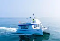 ক্যাটামারান বিক্রির জন্য