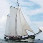 ইয়ট বিক্রির জন্য