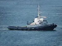 টাউবোট বিক্রির জন্য
