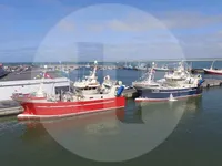 মাছ ধরার জাহাজ বিক্রির জন্য