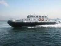টাউবোট বিক্রির জন্য