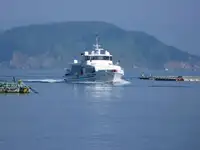 ফেরি জাহাজ বিক্রির জন্য