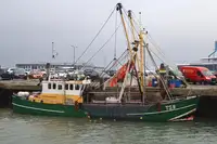 Trawler বিক্রির জন্য